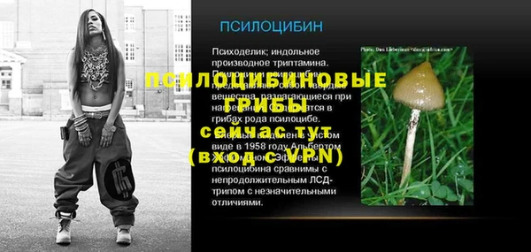 хмурый Алзамай