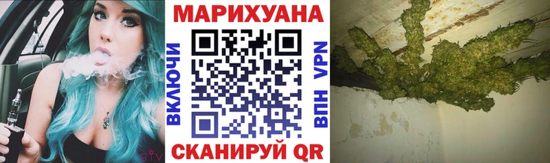 Канабис сатива Ардон