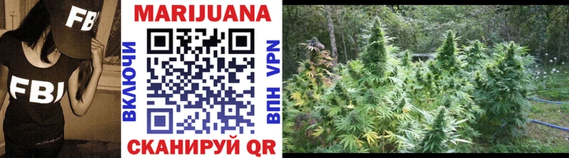 Шишки марихуана THC 21%  где купить   Ардон 